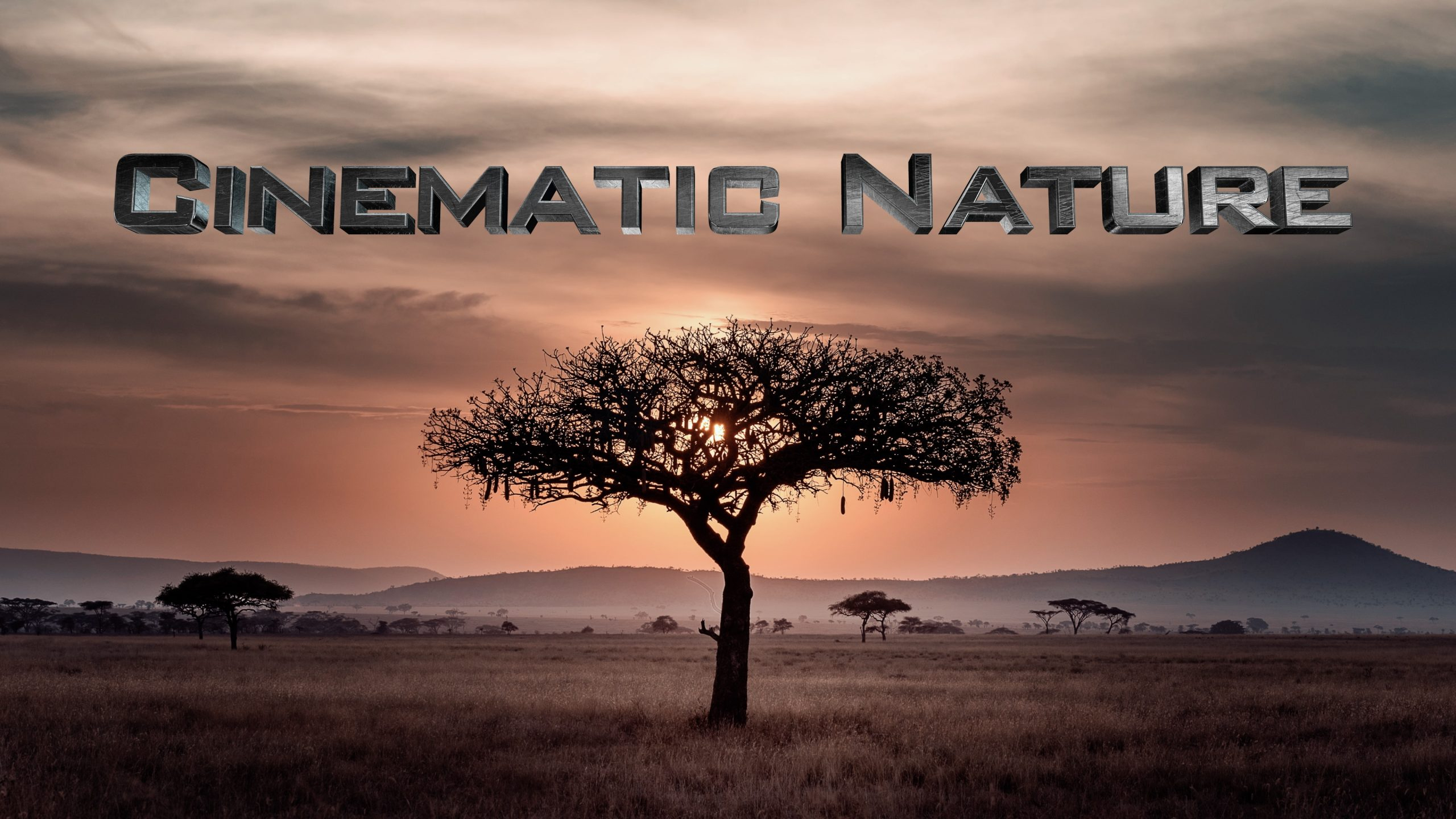 Nature Cinematic Look Lut Pack